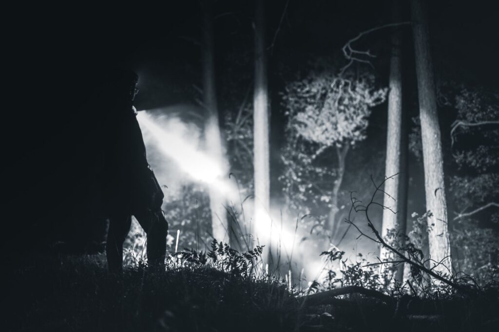 unexplained lights in New York's most haunted forest at night