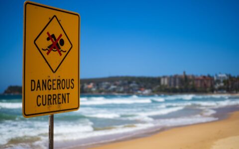 warning sign posted at California beach closed due to aggressive sharks