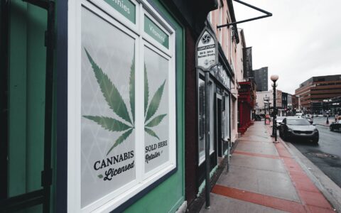 Vermont cannabis laws every dispensary operator must know
