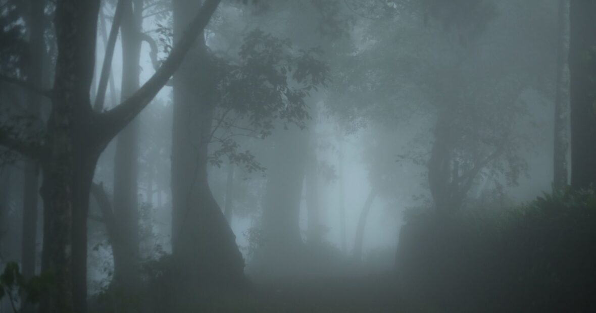 eerie forest trail in New York known as most haunted