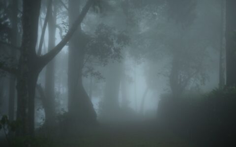 eerie forest trail in New York known as most haunted
