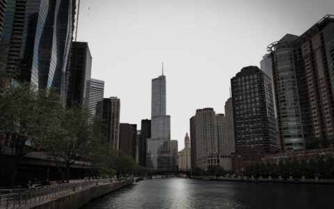 Chicago Illinois city with the highest number of credit card owners