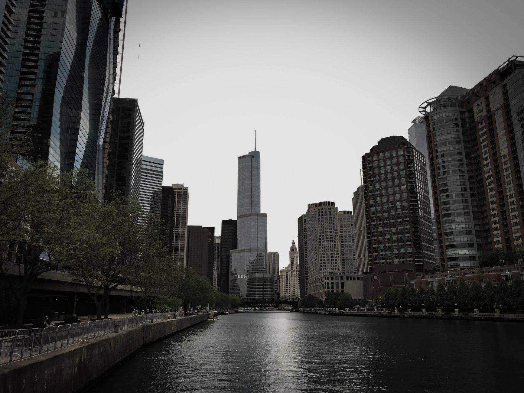 Chicago Illinois city with the highest number of credit card owners