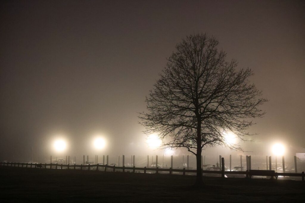 misty Louisiana bayou near most haunted location in the state