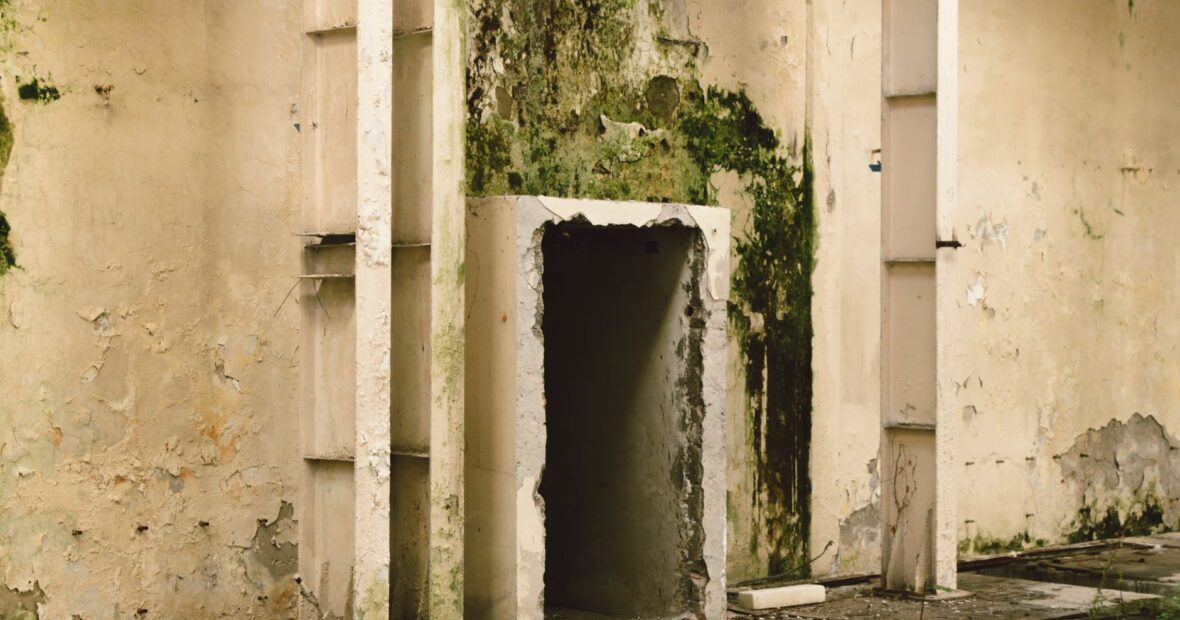 visible mold growth on a damp indoor wall, a common sign of mold in the house