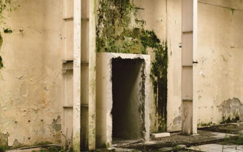 visible mold growth on a damp indoor wall, a common sign of mold in the house