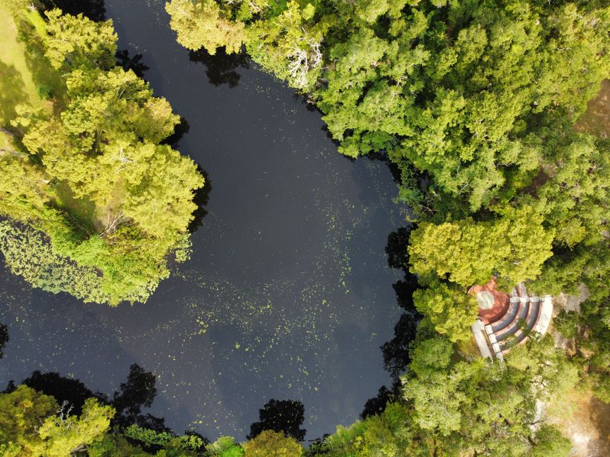 Tampa, FL Hidden Gems Locals Know About