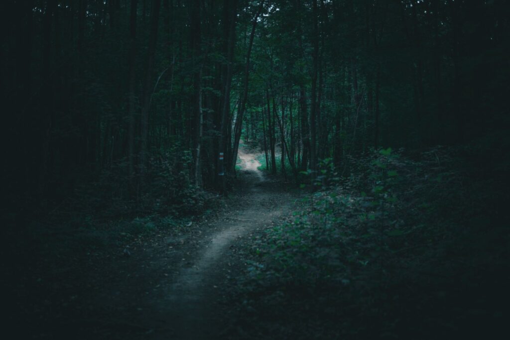 ghost hunters exploring New York's most haunted forest at night