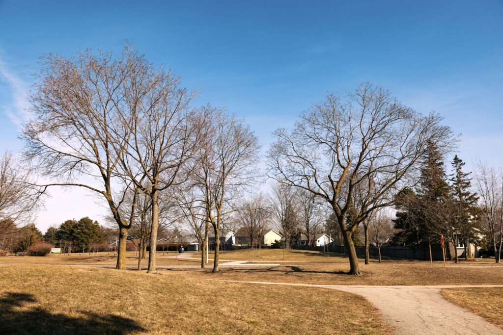 families in a safe Atlanta suburban neighborhood