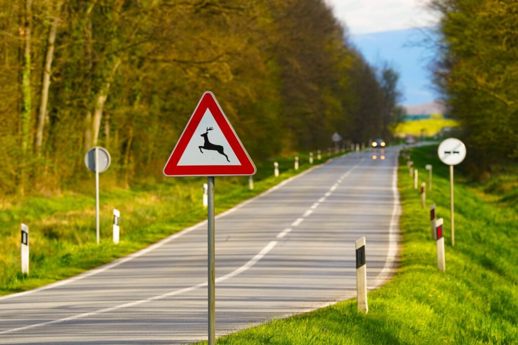 warning sign for animal crossing near metro area road