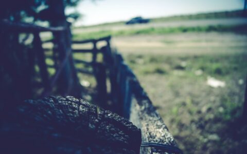Best Day Trips From Austin, TX