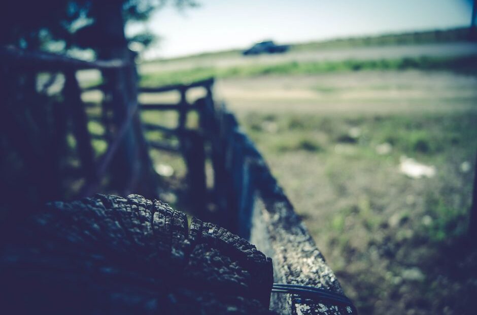 Best Day Trips From Austin, TX