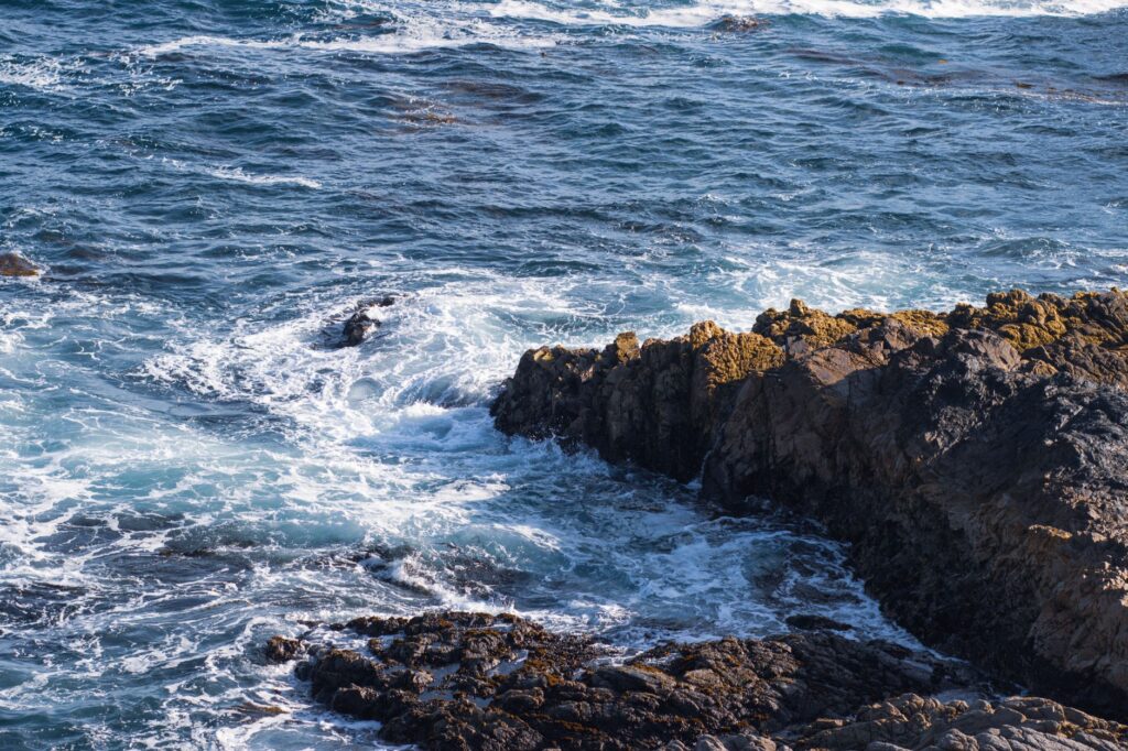 aerial view of California coastline where beaches have been closed due to aggressive sharks