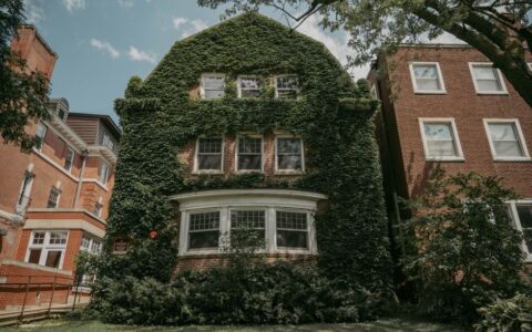 Retiring in Chicago, IL: What to Know