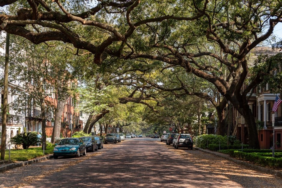 Where to Stay in Savannah GA by Neighborhood