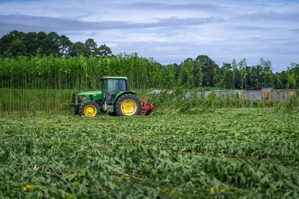 state map of Illinois highlighting rural county cannabis access disparities