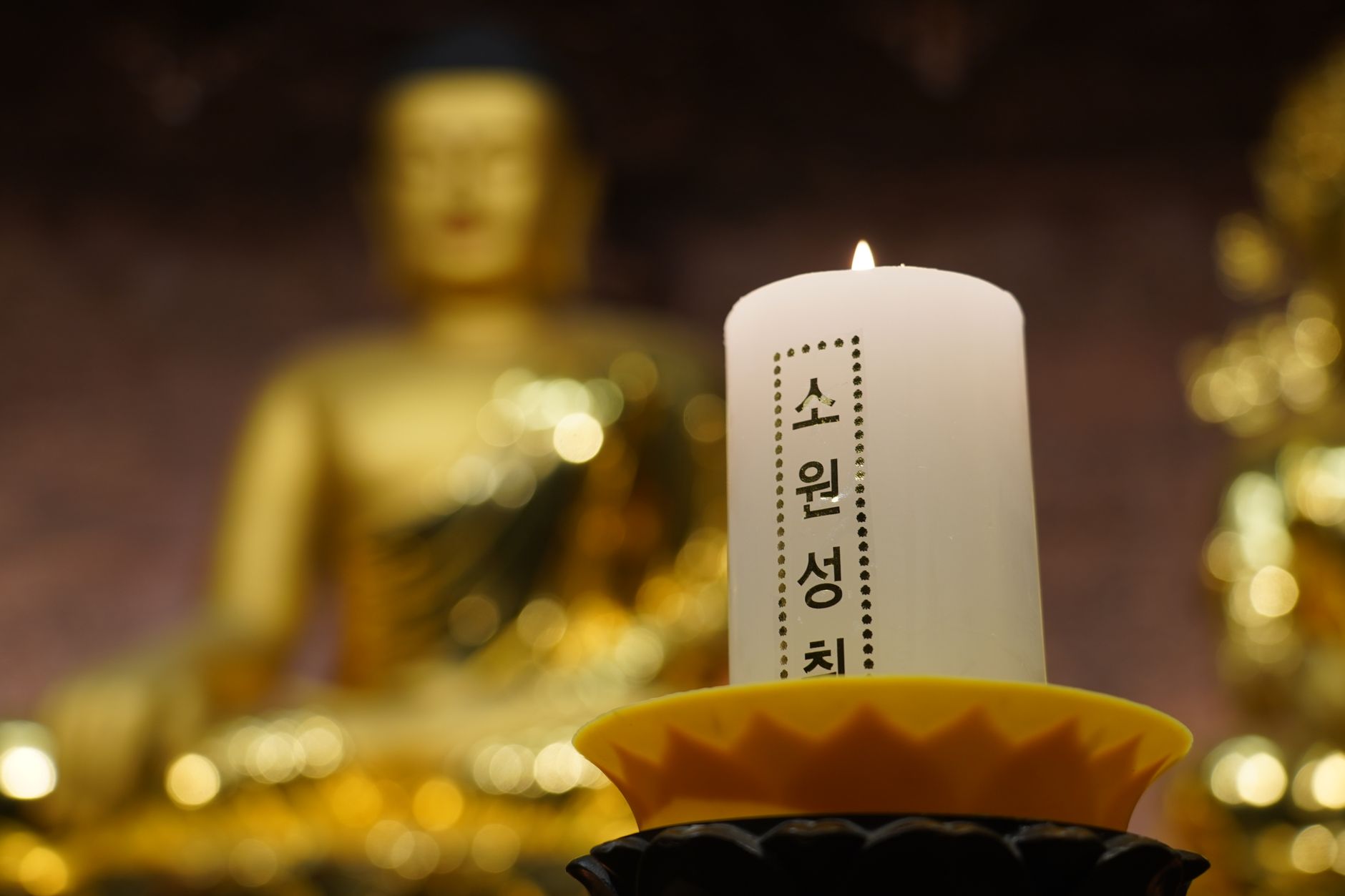 memorial tribute for Parasite actor Lee Sun-kyun found dead in South Korea
