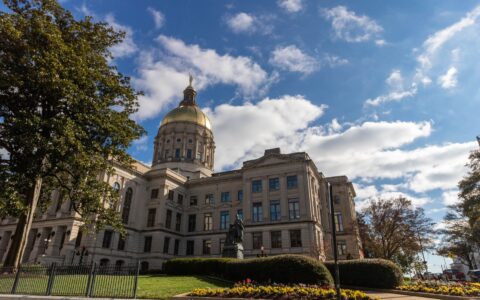 the highest stimulus check payments in Georgia overview