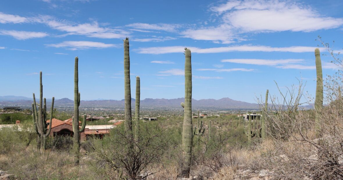 aerial view of Tucson Arizona city referred to as the domestic violence capital of Arizona
