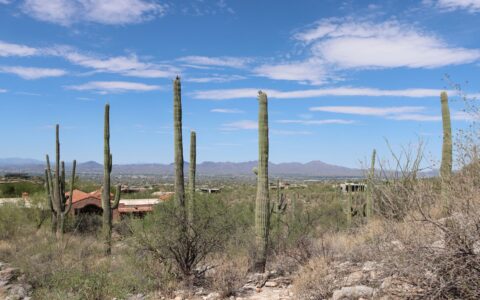 aerial view of Tucson Arizona city referred to as the domestic violence capital of Arizona