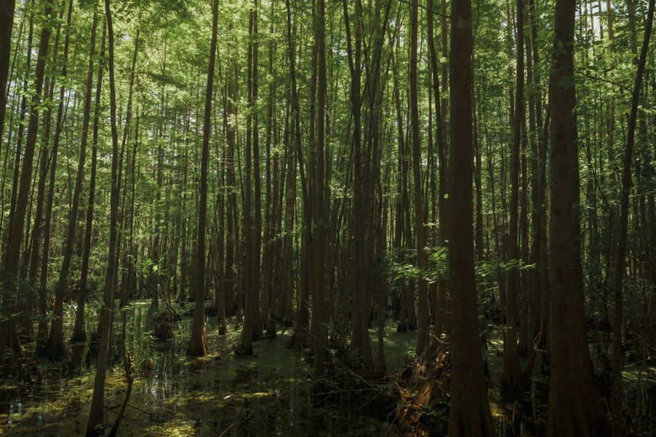 Weekend Getaways From Charleston, SC