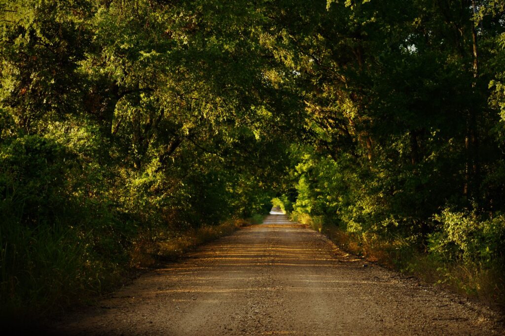 rural Louisiana parish infrastructure and political campaigning