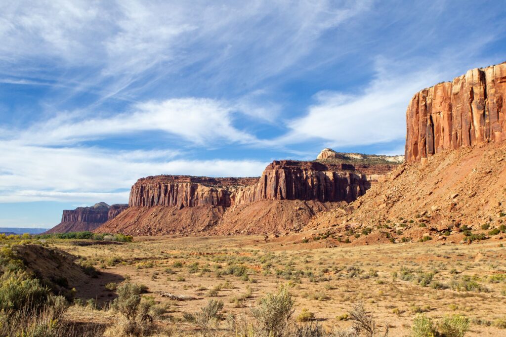 land managers restoring native plants in Utah weed-affected county