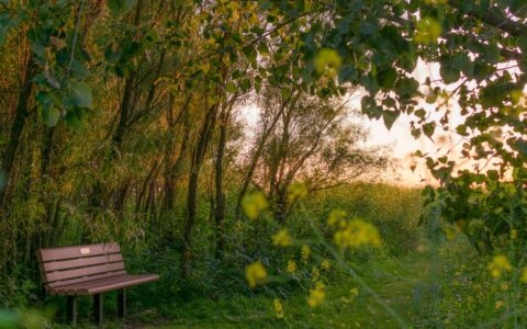 Hidden Gems in Omaha, NE Most Tourists Miss