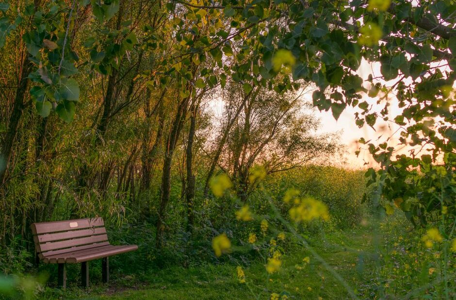 Hidden Gems in Omaha, NE Most Tourists Miss