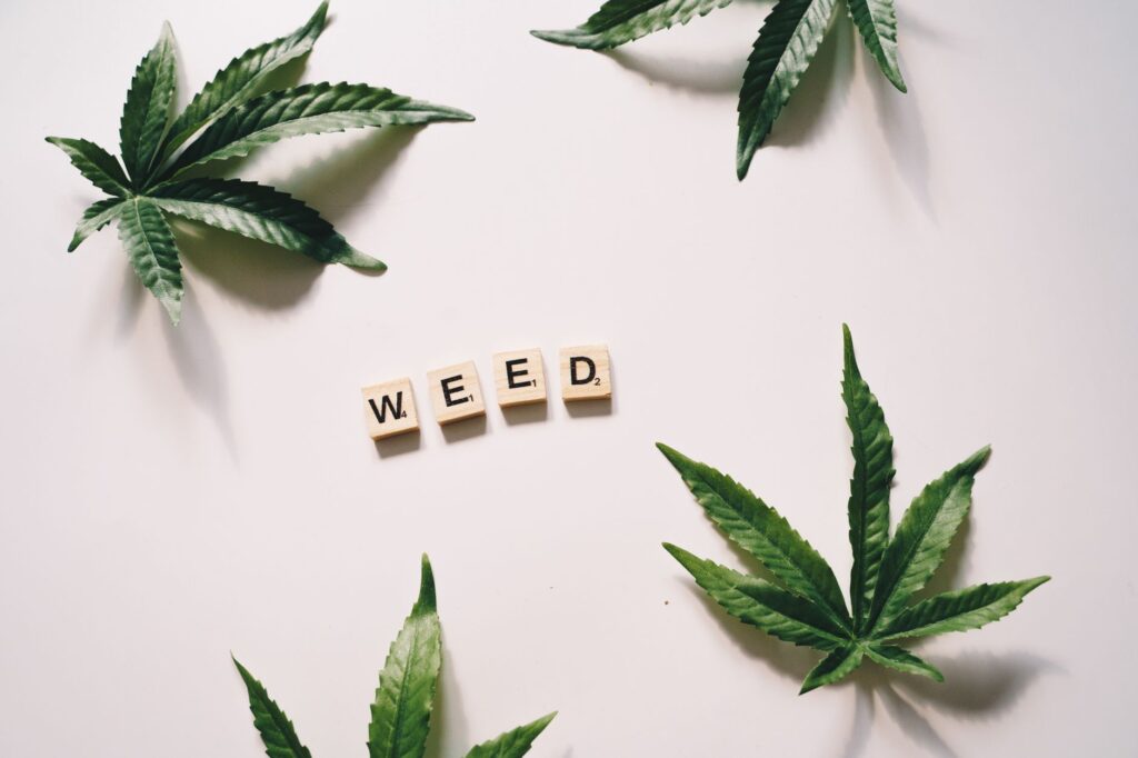 cannabis safety education Colorado