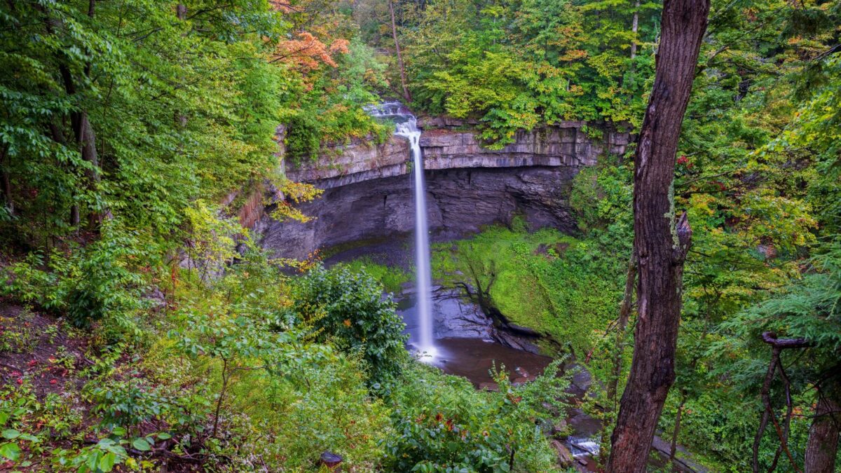 Waterfall in a forested gorge in upstate New York