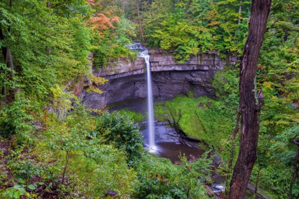 Waterfall in a forested gorge in upstate New York