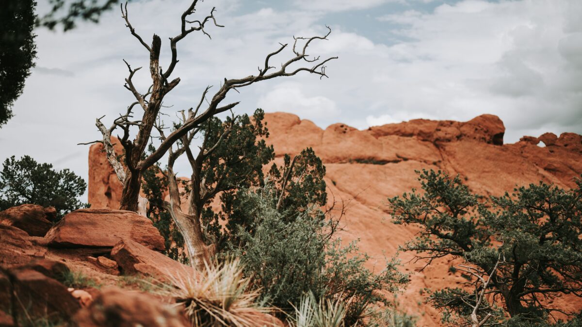 Red rock formations at Garden of the Gods, Colorado