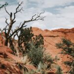 Red rock formations at Garden of the Gods, Colorado