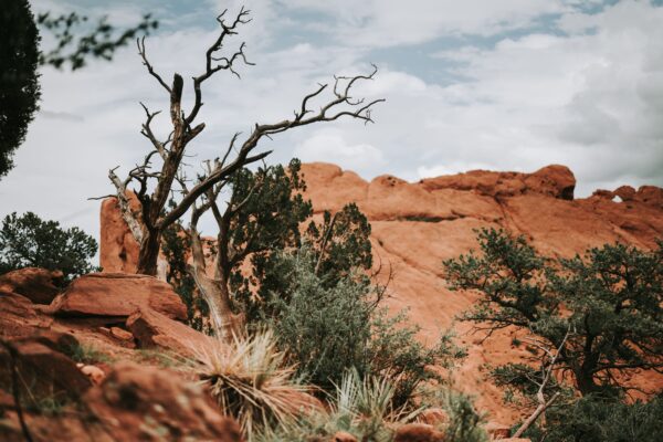 Red rock formations at Garden of the Gods, Colorado
