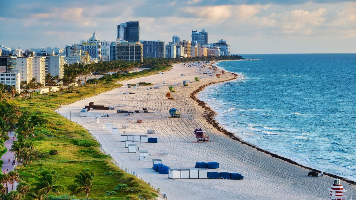 Florida beach with palm trees