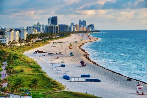 Florida beach with palm trees