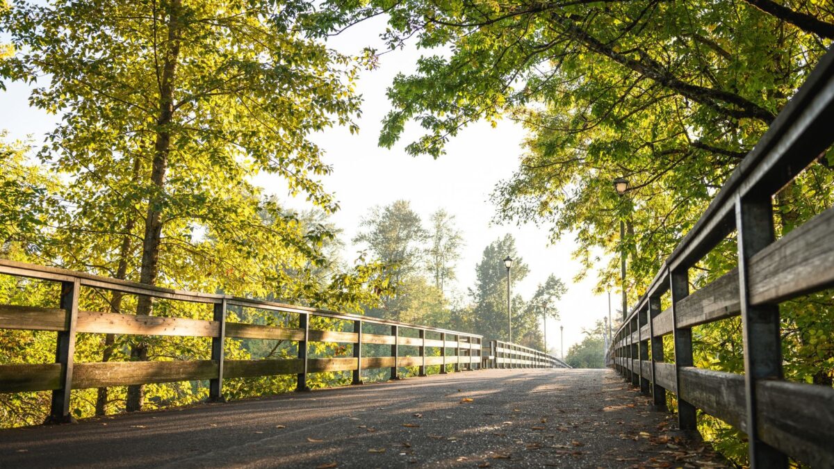 Tree-lined walking trail in Oregon