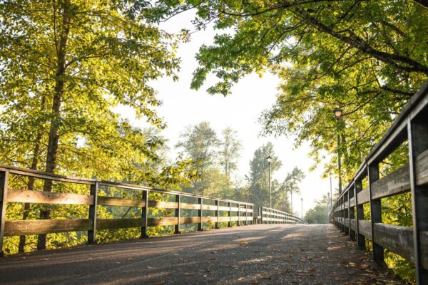 Tree-lined walking trail in Oregon