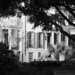 Historic townhouses framed by trees