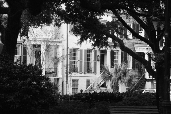 Historic townhouses framed by trees