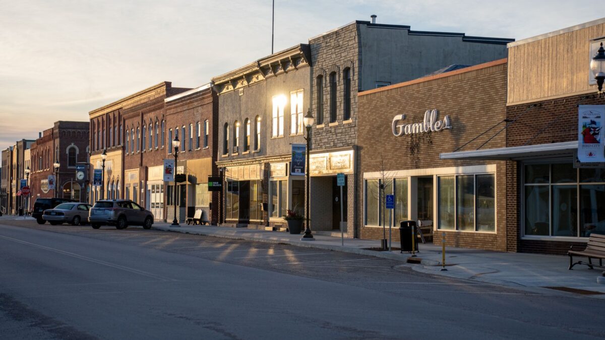 Quiet small-town street in Michigan with tree-lined homes