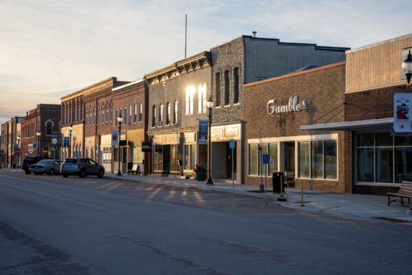 Quiet small-town street in Michigan with tree-lined homes
