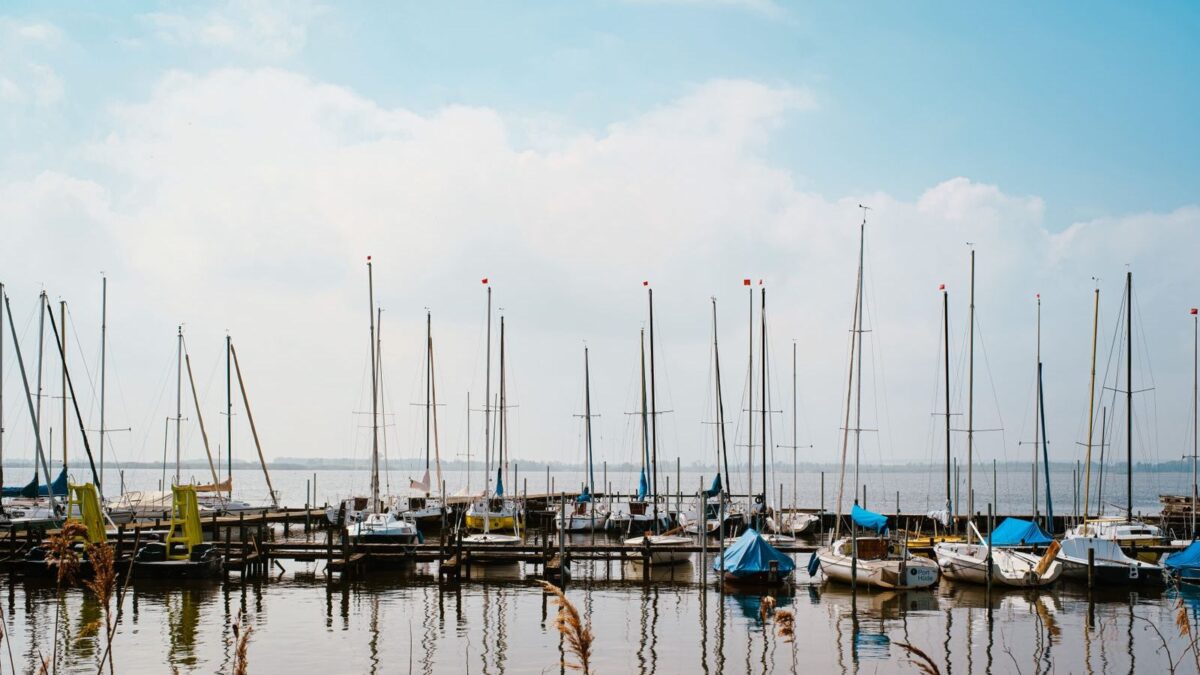 Sailboats moored in a calm harbor under a blue sky