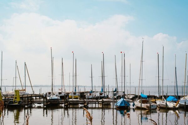 Sailboats moored in a calm harbor under a blue sky