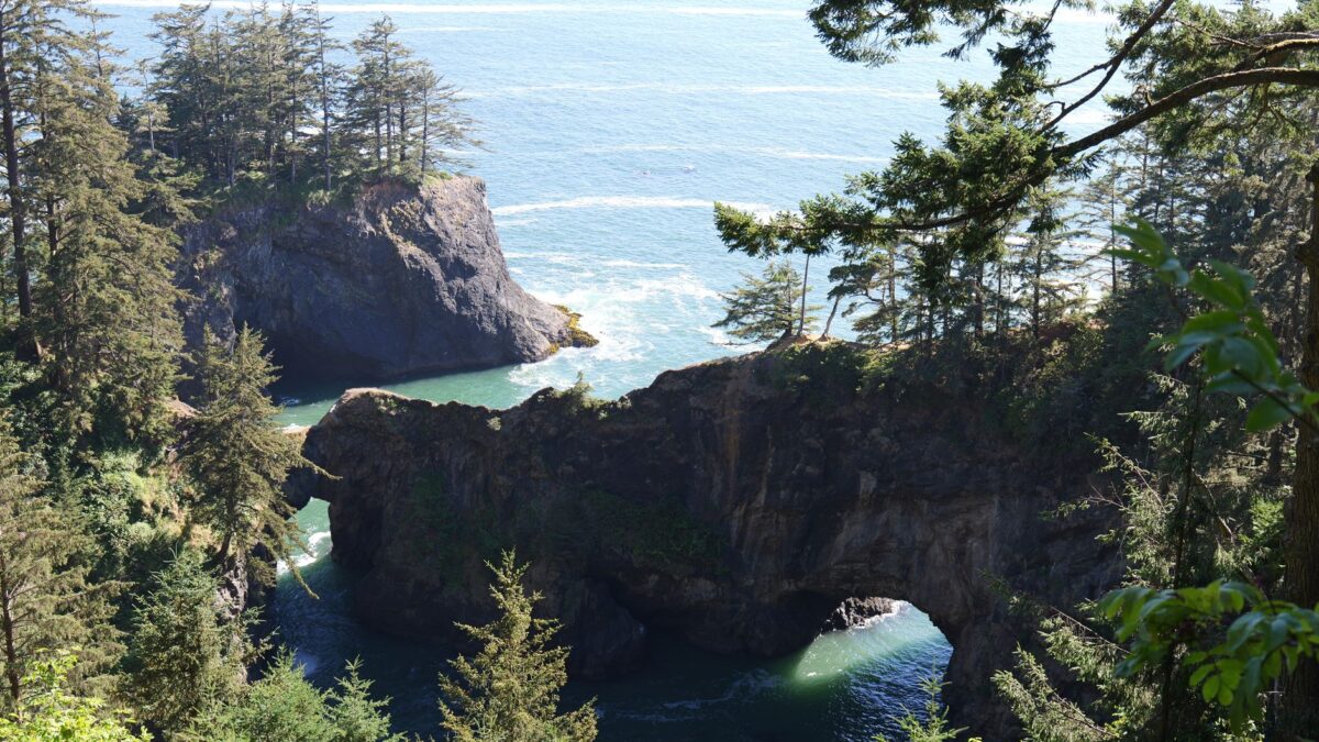 Oregon coast landscape