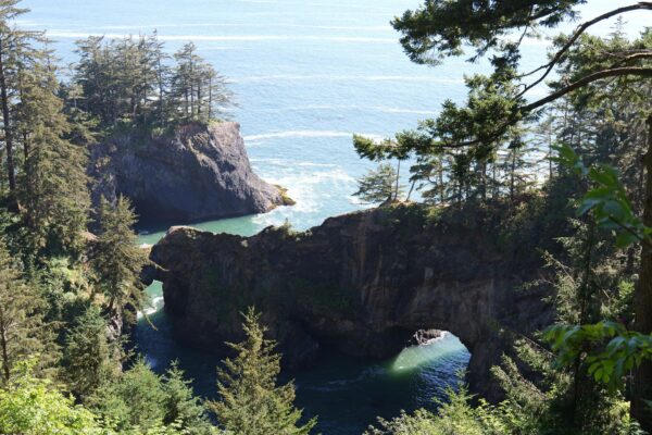 Oregon coast landscape