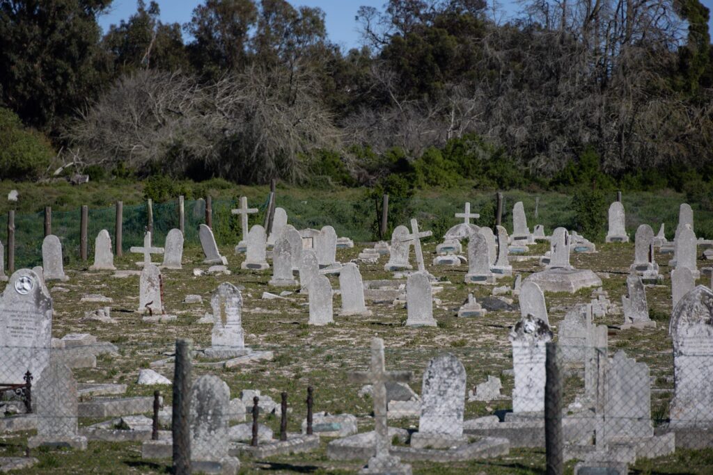 numbered grave markers at upstate New York asylum where 1700 died haunted history