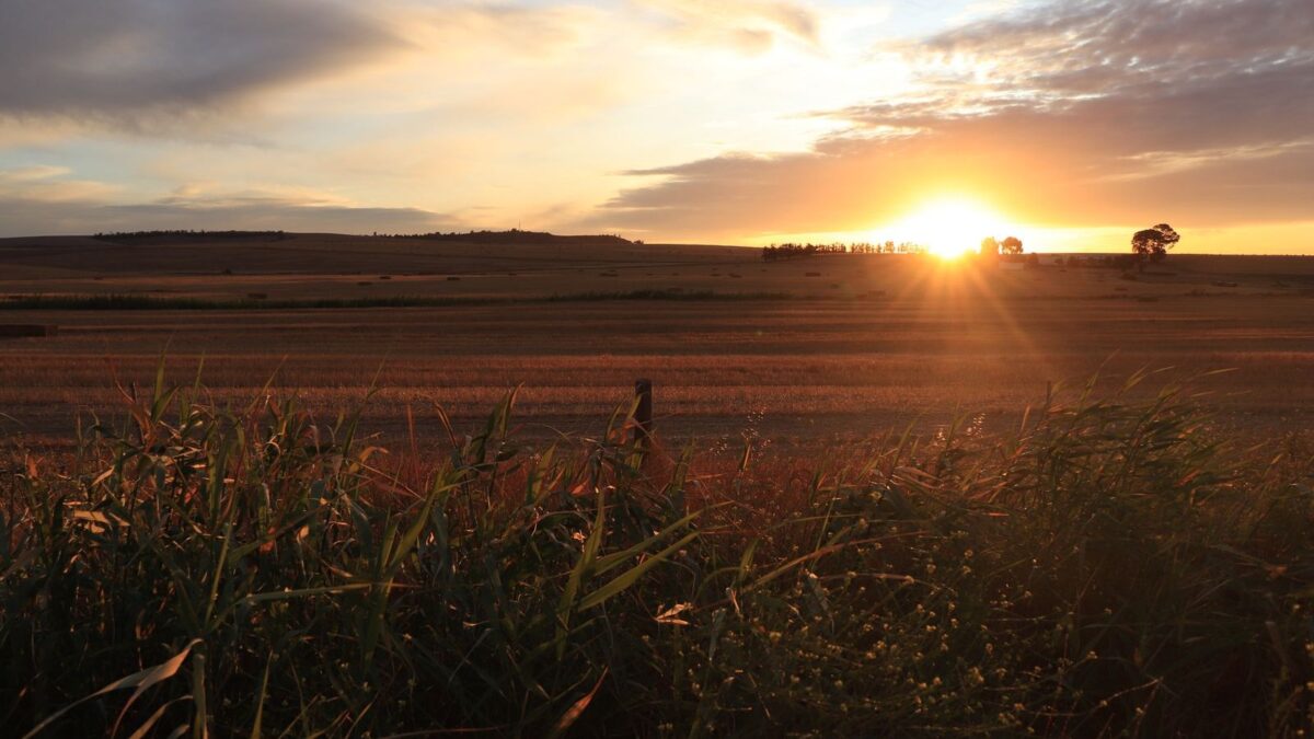 Sunset over open farmland