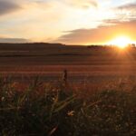 Sunset over open farmland